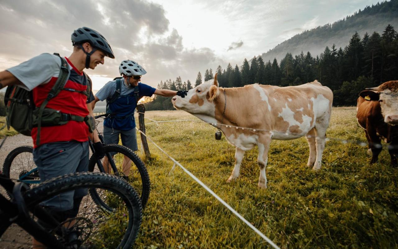 Ribno Luxury Glamping Hotel Bled Buitenkant foto